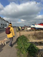 Coming into Deal to finish the day's walking
